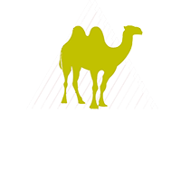 斯坦巴赫地板